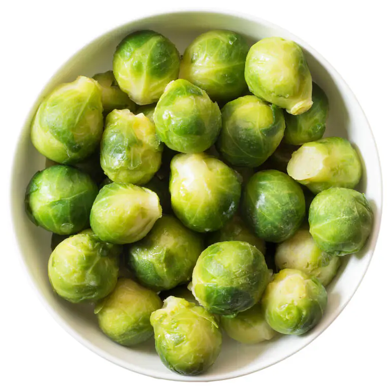 3351XX91 - medium sprout.webp